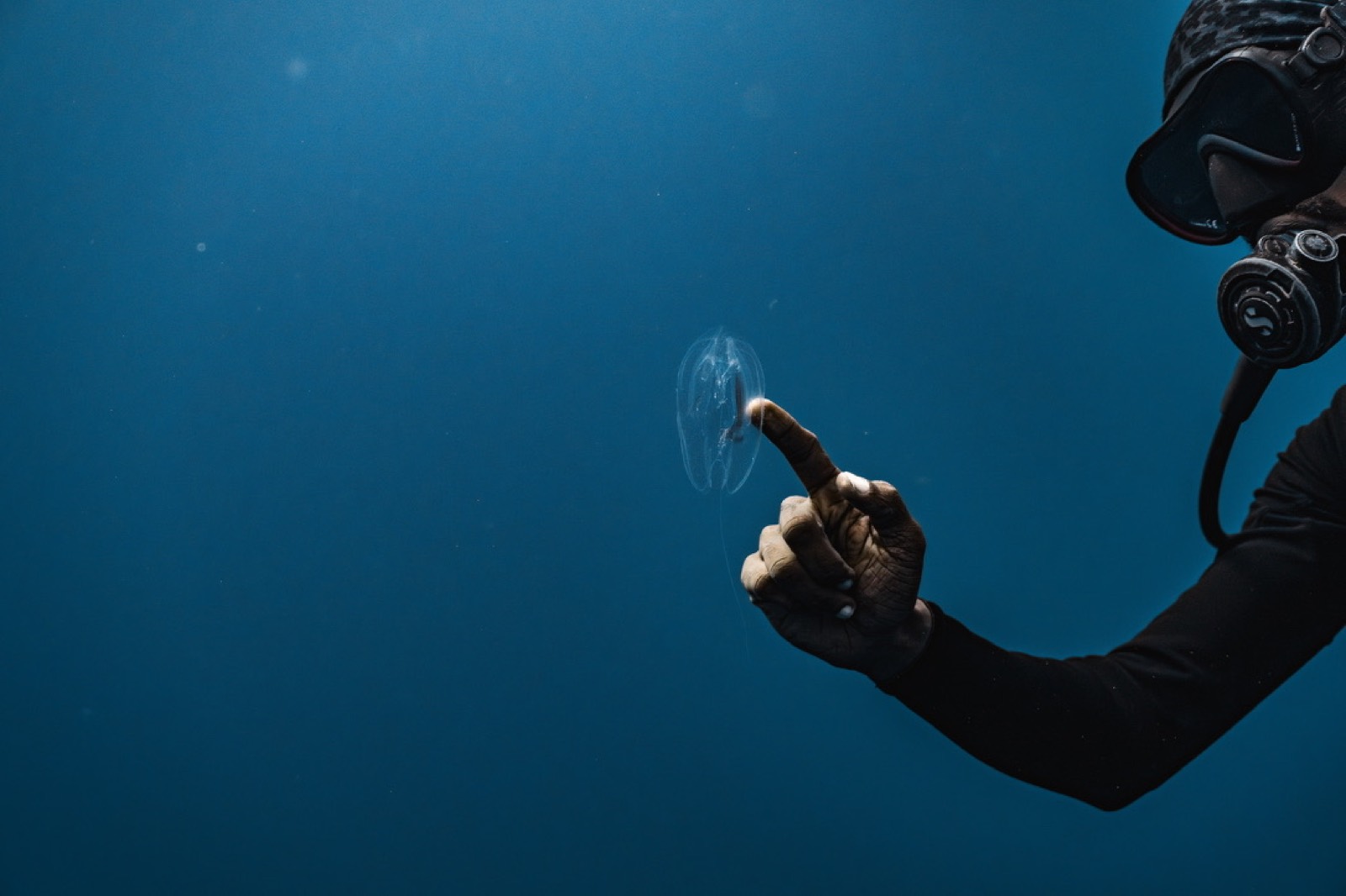 A diver's finger beside a small transparent jellyfish in open blue water