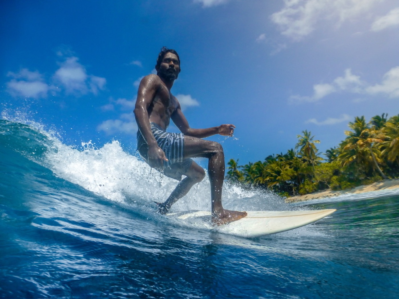 A surfer riding a wave along Fuvahmulah's palm-lined shore